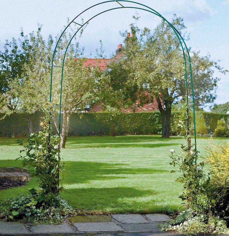 Гарден гейт (Garden Gate) плетистая