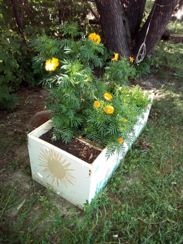 Цветник из старого холодильника