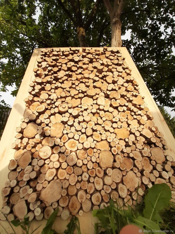 Поделки из можжевельника