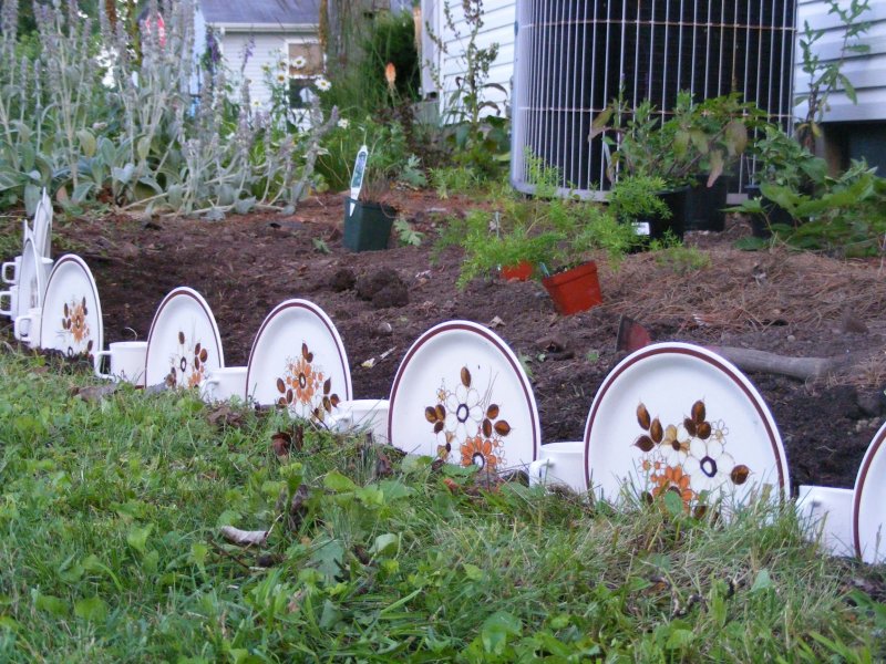 Клумбы из тарелок