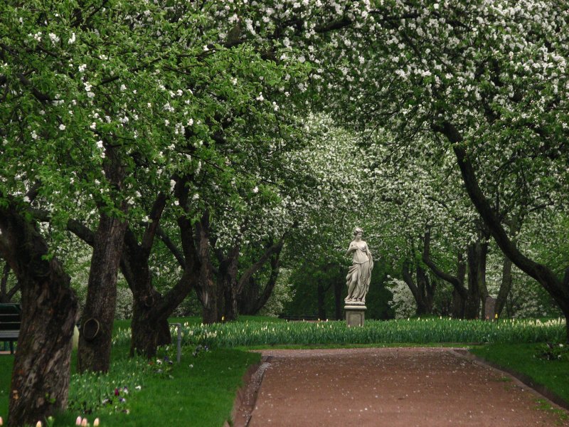 Лениногорск весной яблони
