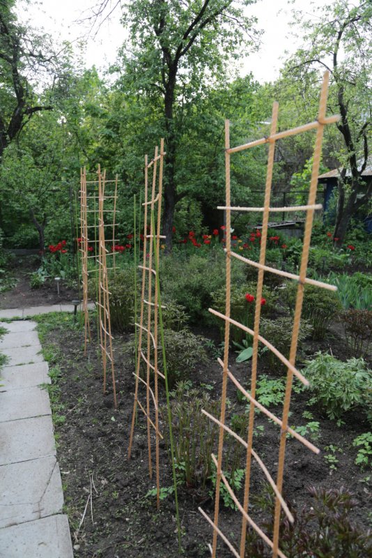 Шпалера из стеклопластиковой арматуры