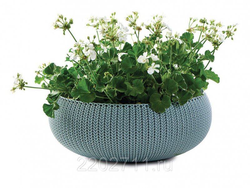 Кашпо Keter cozies - l