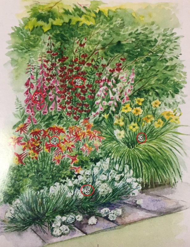 Зарисовки клумб