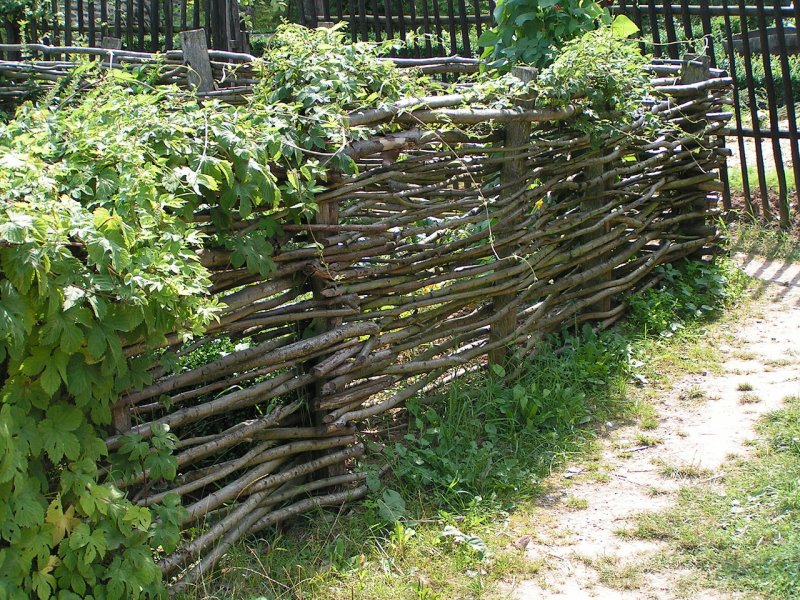 Забор для аппликация из веточек