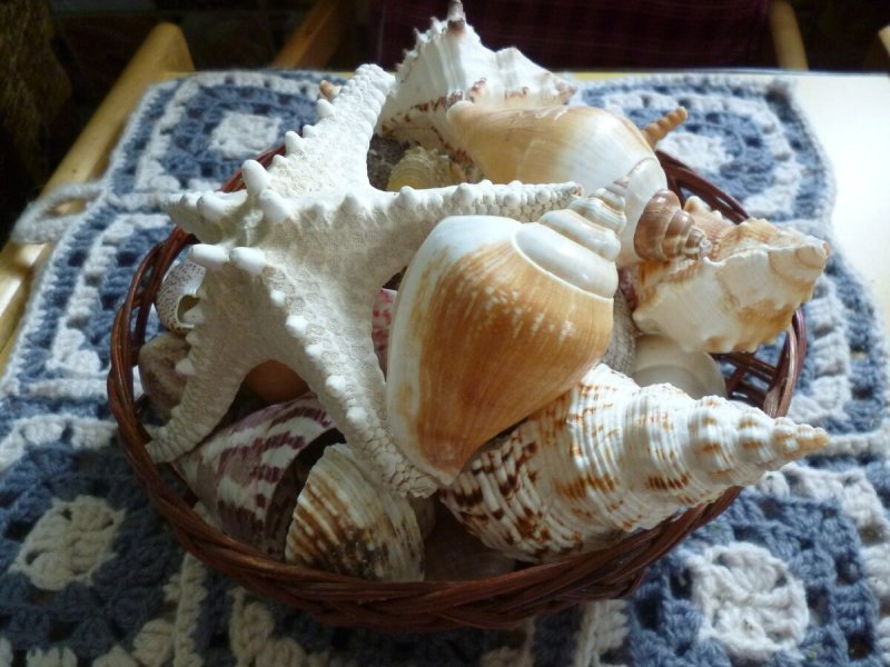 Треугольник из ракушек