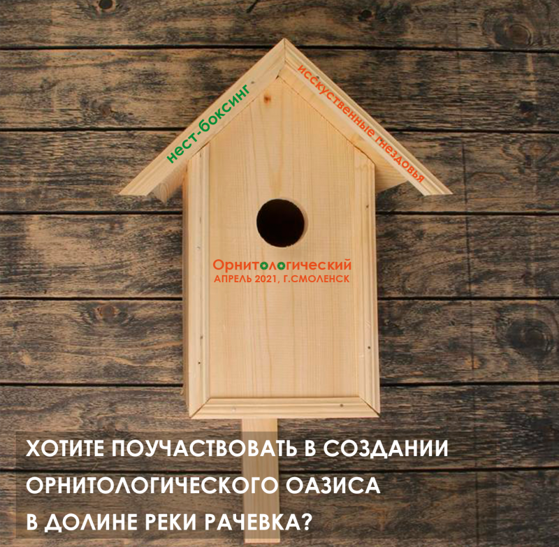 Огромный скворечник