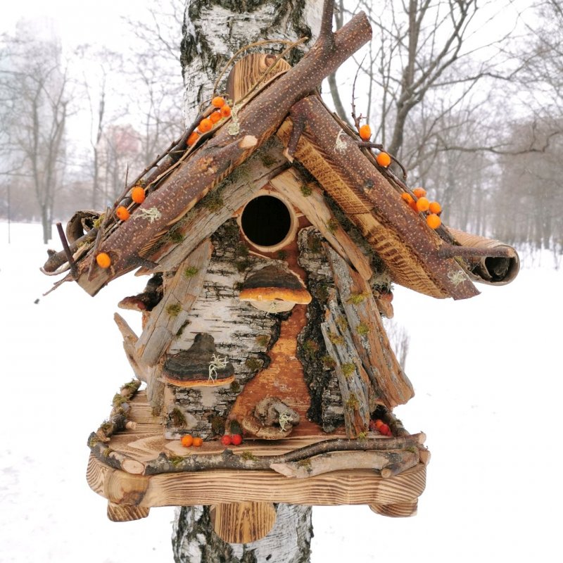 Скворечник с кормушкой