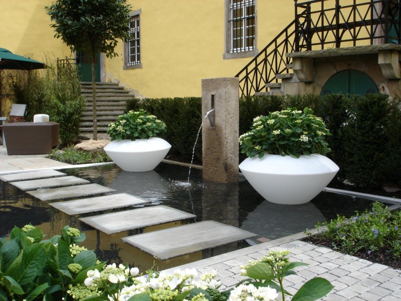 Courtyard лужайка