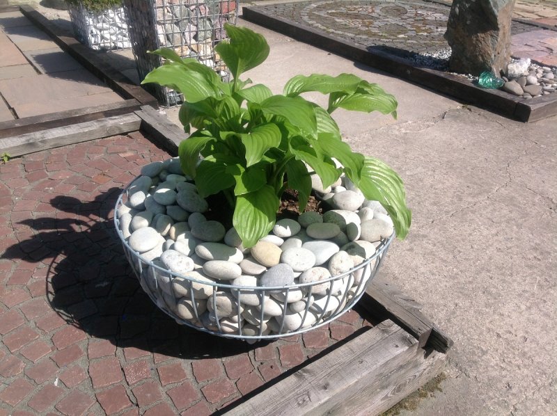 Вазоны из сетки и камней