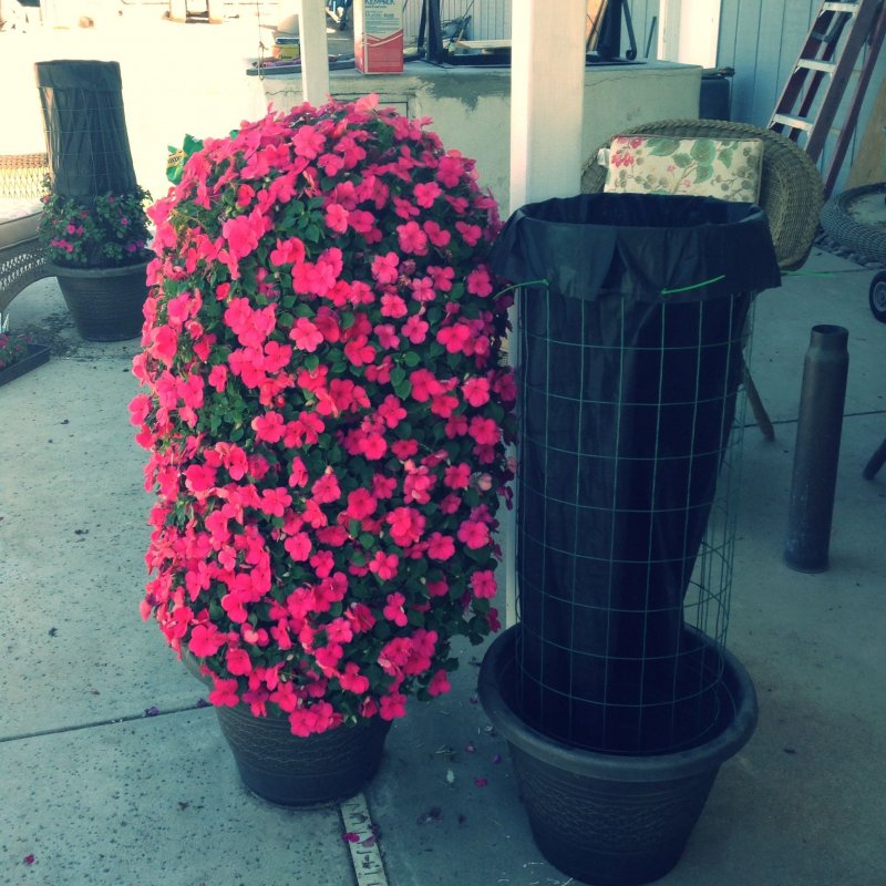 Цветочная башня Flower Tower