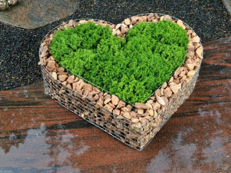 Клумба из камней в виде сердца