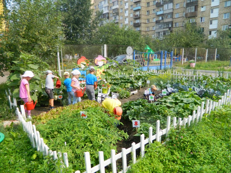 Мини огород в детском саду на участке