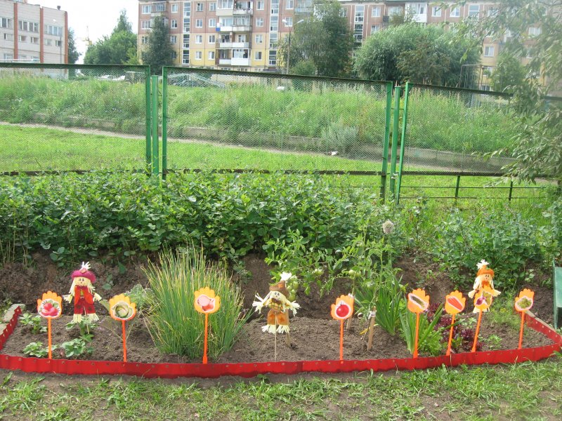Огород в ДОУ