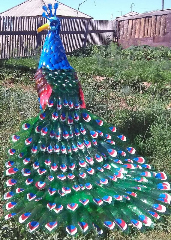 Шедевры из пластиковых бутылок