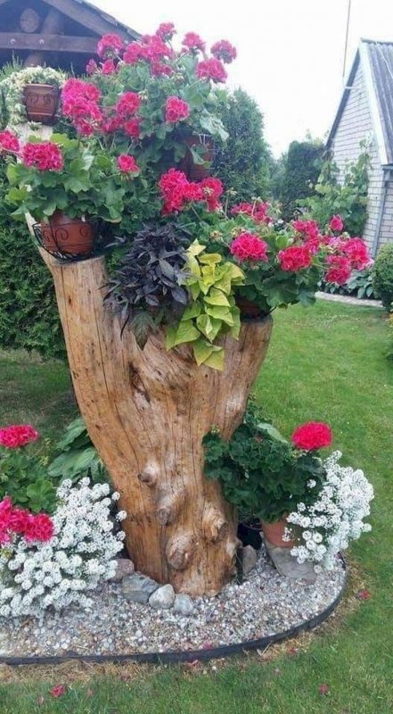 Клумба из пеньков
