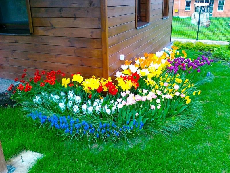 Клумбы в палисаднике