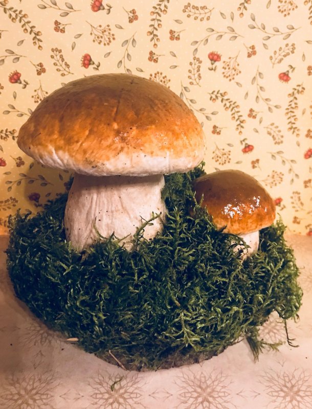 Белый гриб из папье маше