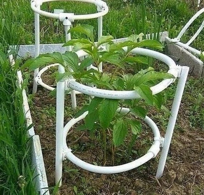 Опоры для кустов