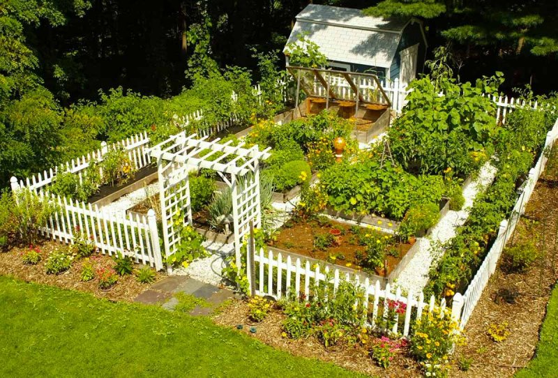 Garden with Vegetable Patches