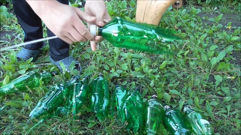 Пальма из подручных материалов своими