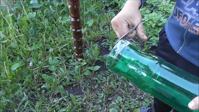 Пластиковая бутылка