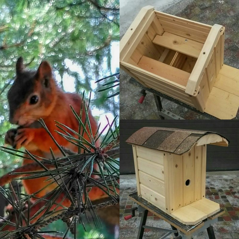 Домик кормушка для белки