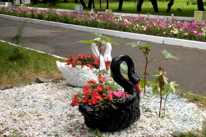 Клумба с украшением лебедя