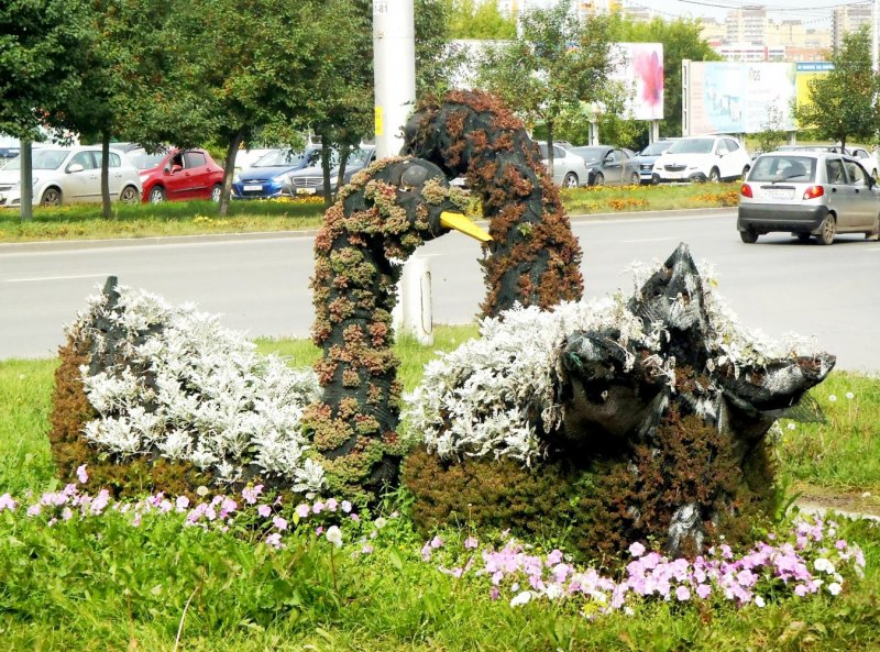 Благоустройство по российским лебеди