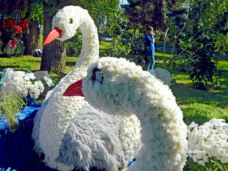 Лебедь с цветами