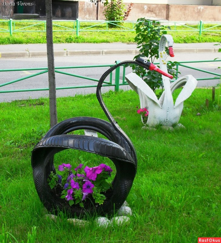 Клумбы для цветов лебеди