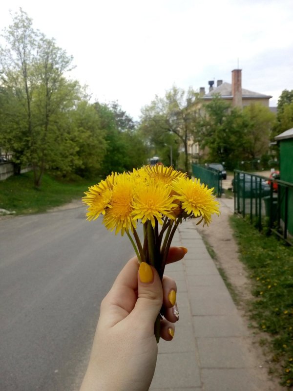 Свадебный букет из одуванчиков
