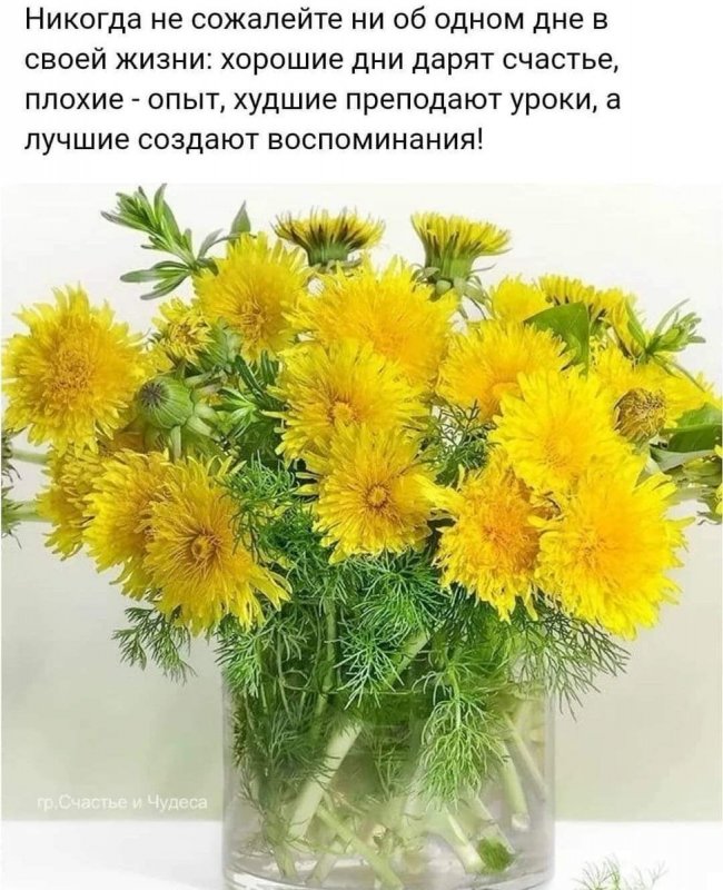 Букет из одуванчиков в вазе