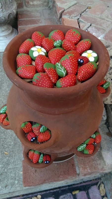 Клубника на камнях