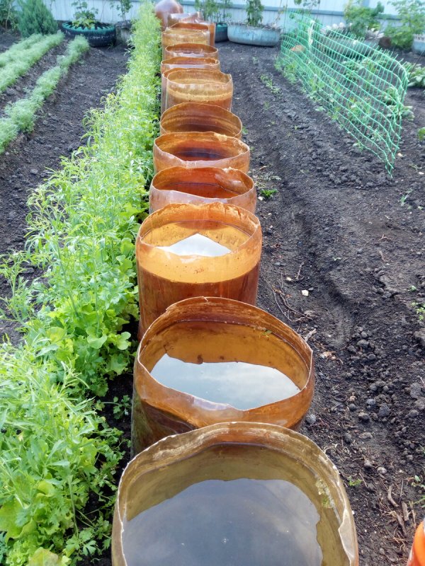 Клумба из пивных пластиковых бочек