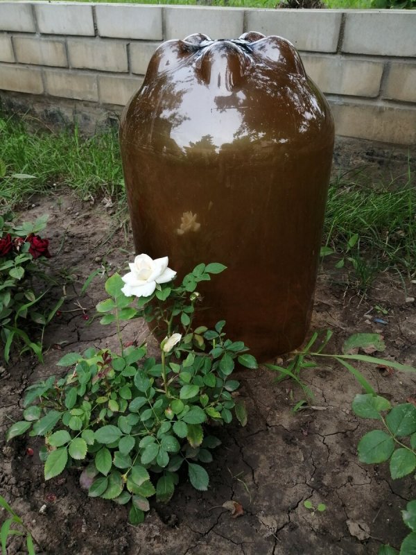 Клумбы из пивных пластиковых кег