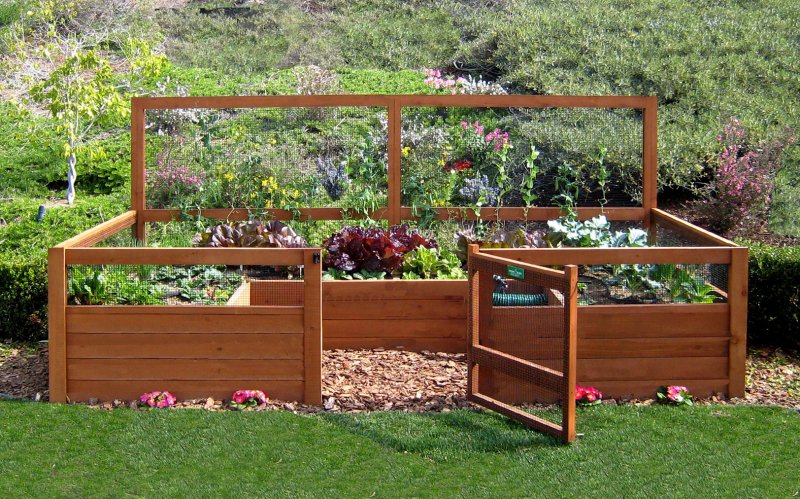 Garden Dreams грядки