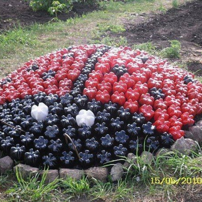 Божья коровка из бутылки