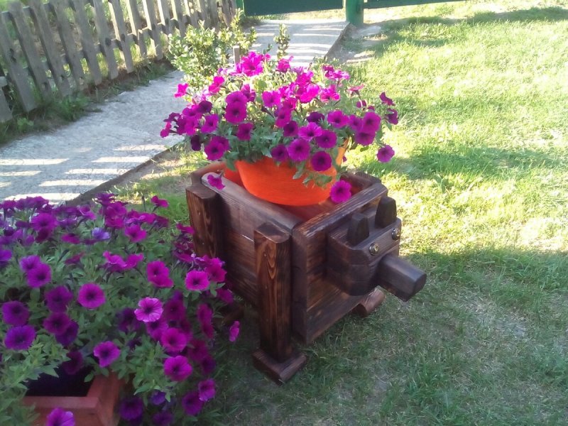 Клумба дерево для петуний