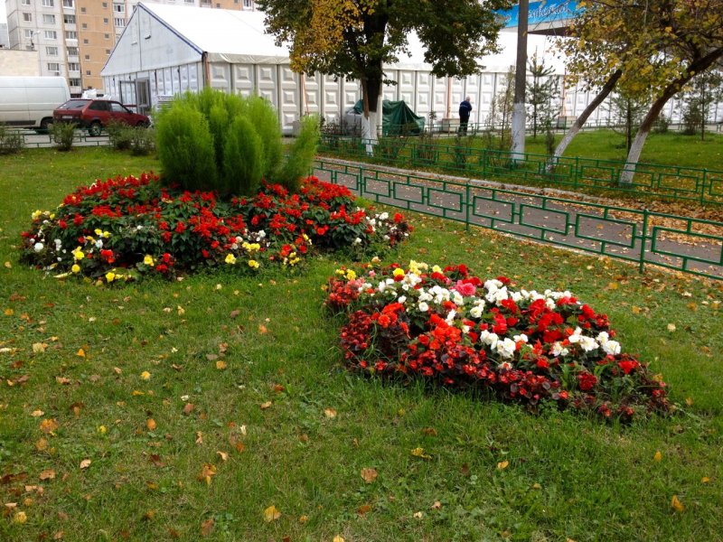 Придорожная клумба