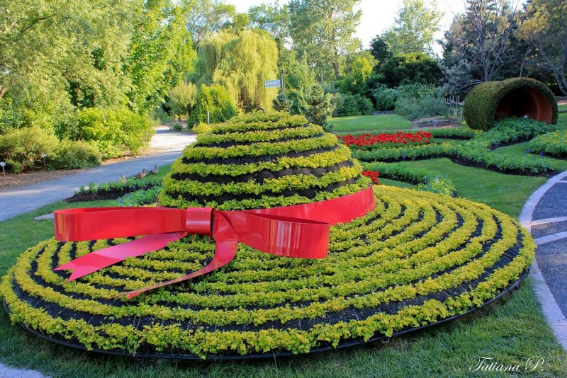 Круглый цветник