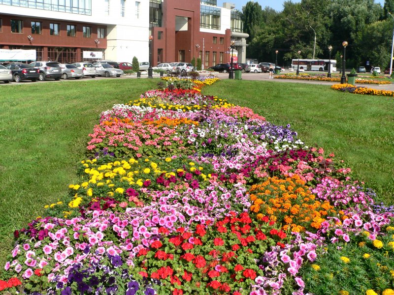 Зеленхоз Воронеж