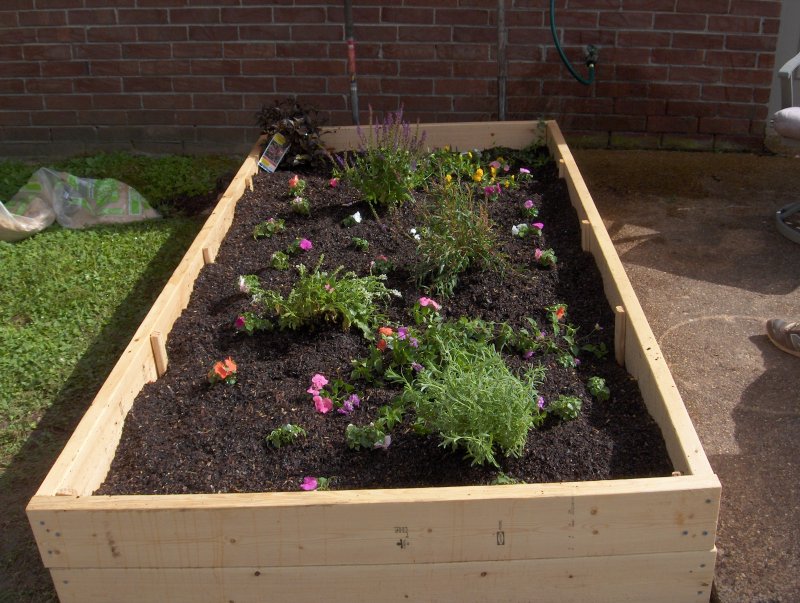 Raised Flower Bed