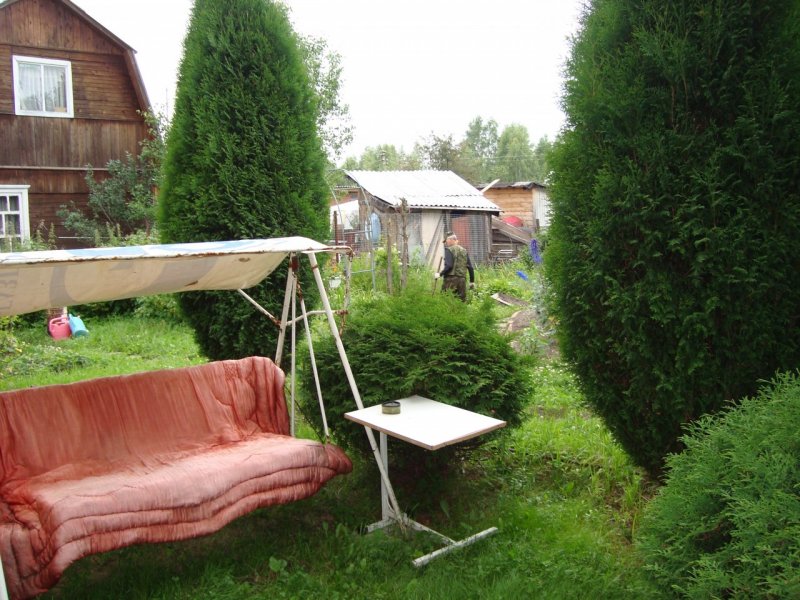 Сон на даче реальное фото