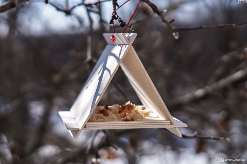 Кормушки для птиц из коробок