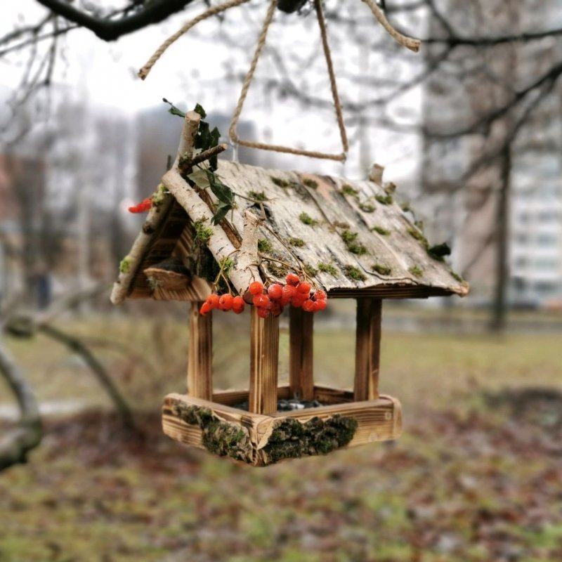 Эксклюзивные кормушки для птиц