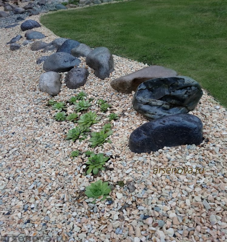 Rain Garden idea