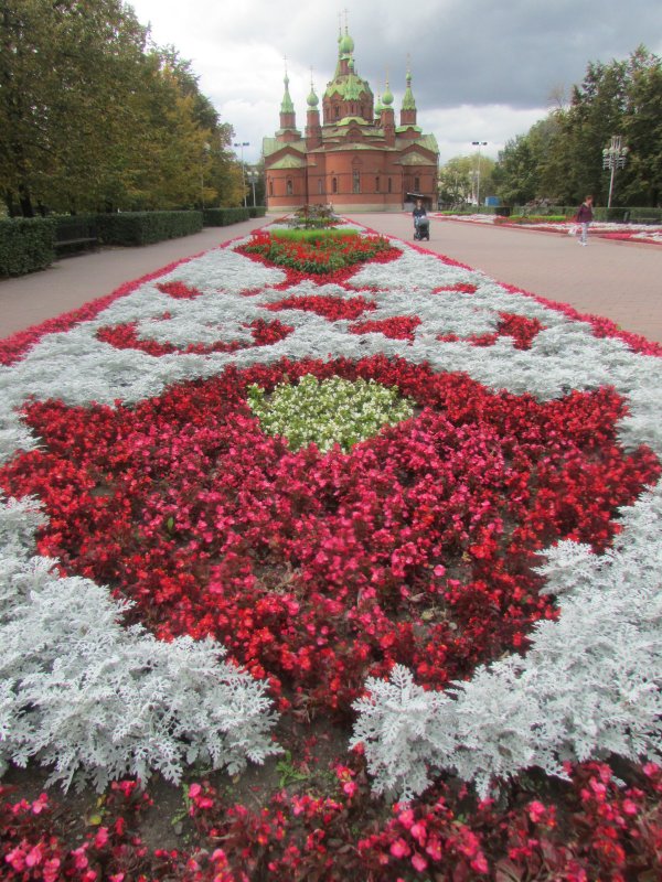 Осенние клумбы в скверах