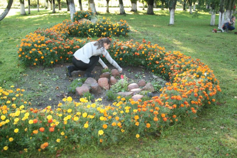 Клумбы осенью детям