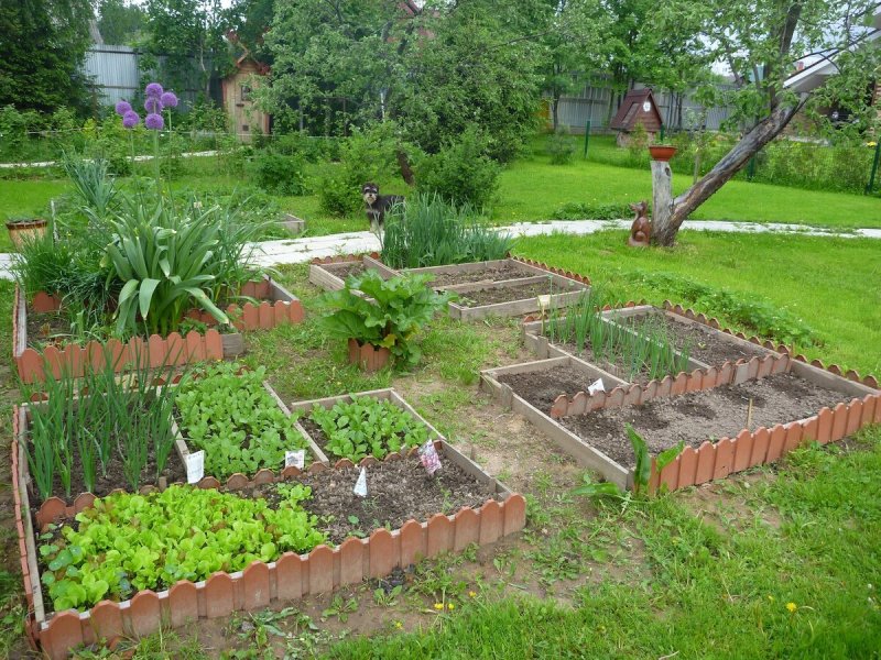 Планировка грядок